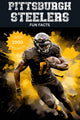Pittsburgh steelers fun facts