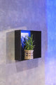 Looox colour box inbouwnis - 30x30x10cm - rvs zwart mat