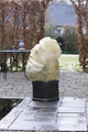 Nature - winterhoes - h150 x ø75cm (2 stuks) - beige - afdekhoes - met aantrekkoord