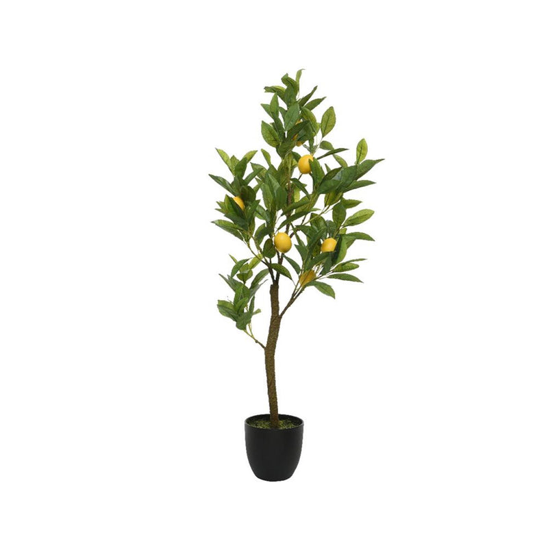 Decoris kunstplant citroen 35x25x92cm