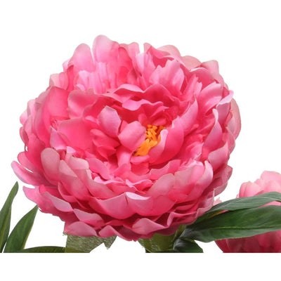 Decoris kunstplant pioenroos h57cm fuchsia