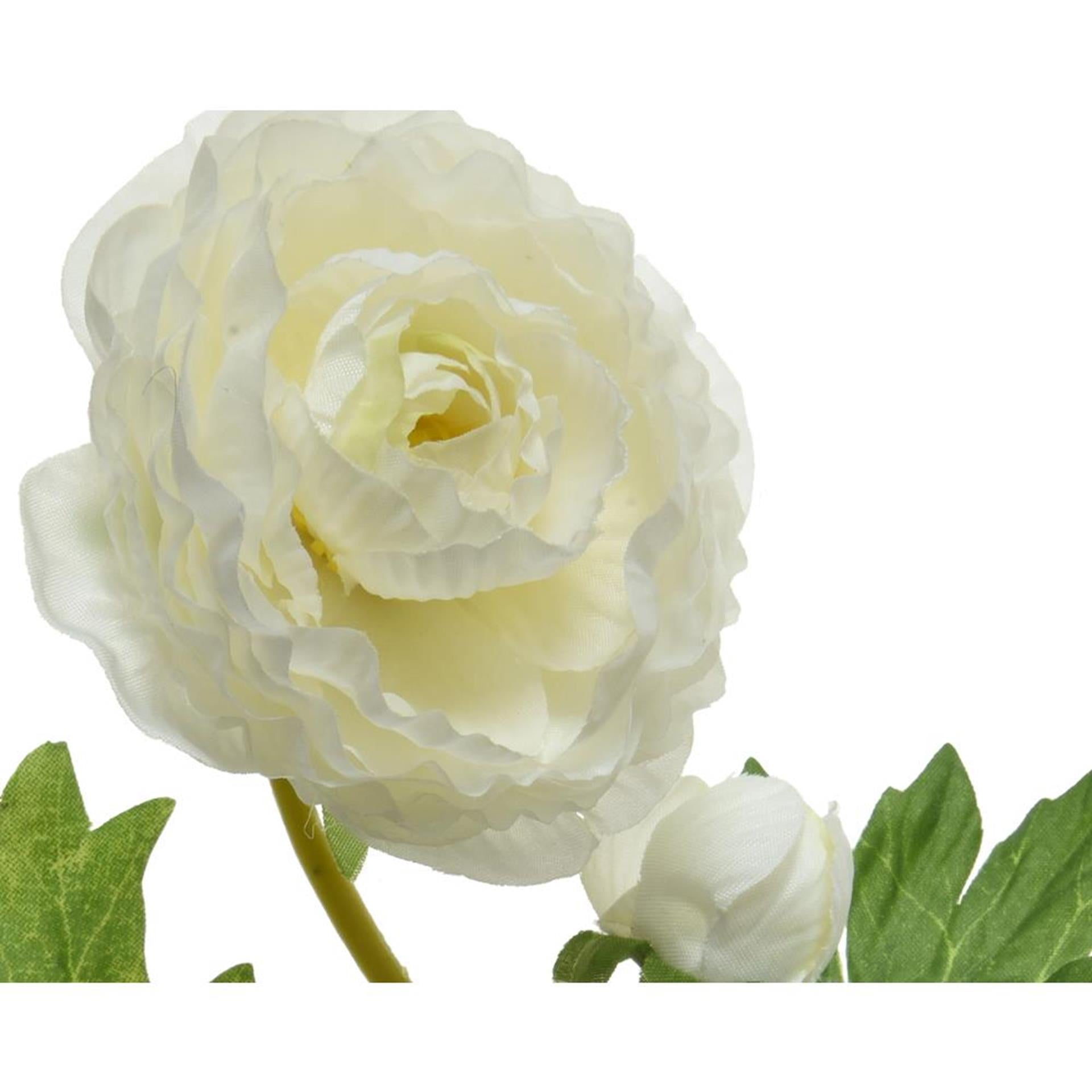 Decoris ranonkel h57cm wit