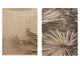 Decoris wanddoek met ophangogen 90x120cm fotoprint met palmblad 2 stuks