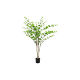 Countryfield plant dysosma pleiantha 150cm groen - afbeelding 1