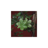 Countryfield plant dysosma pleiantha 150cm groen - afbeelding 2