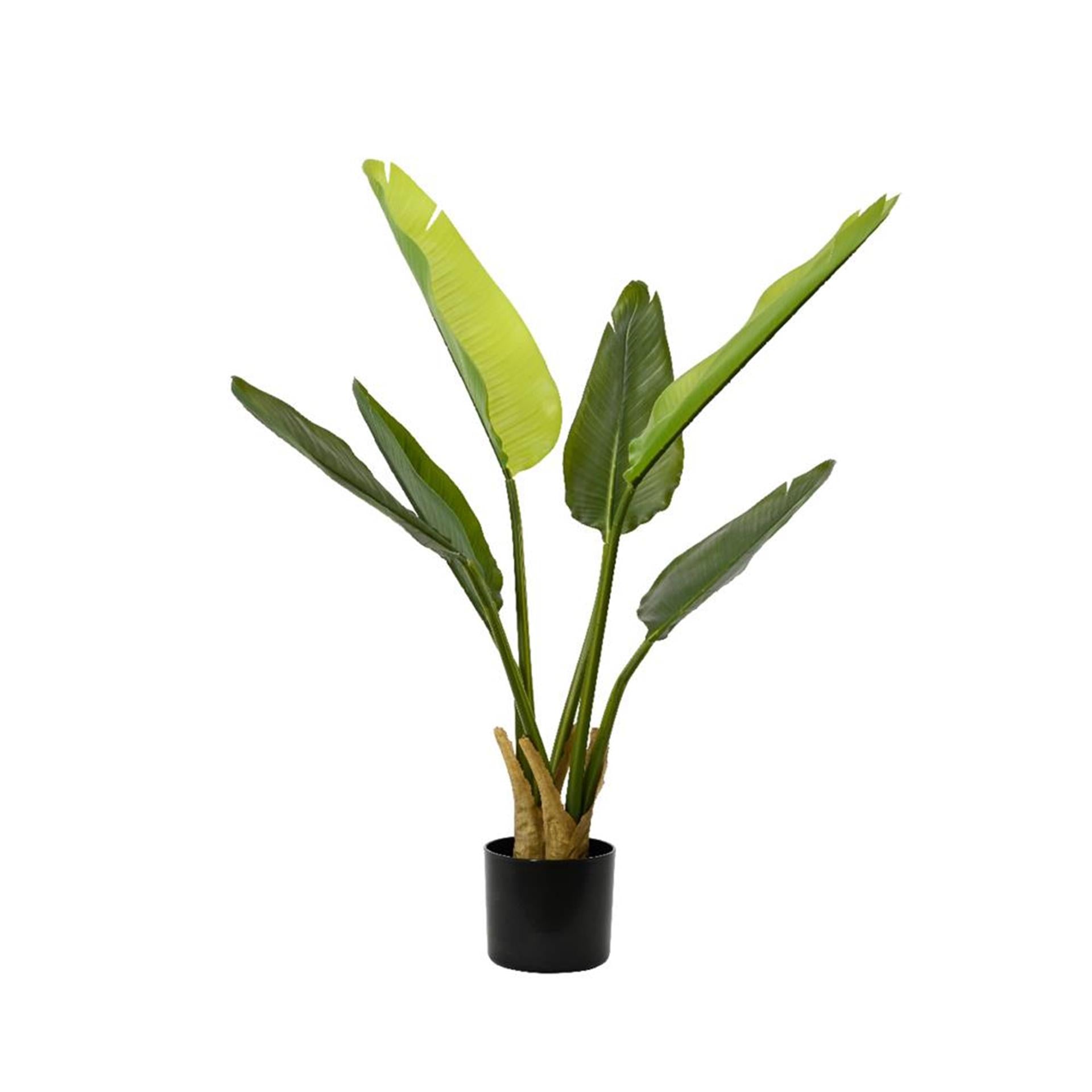 Decoris kunstplant strelitzia h90cm