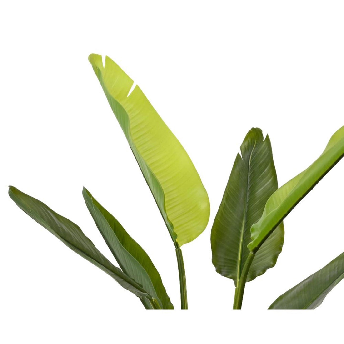 Decoris kunstplant strelitzia h90cm