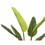 Decoris kunstplant strelitzia h90cm - afbeelding 2