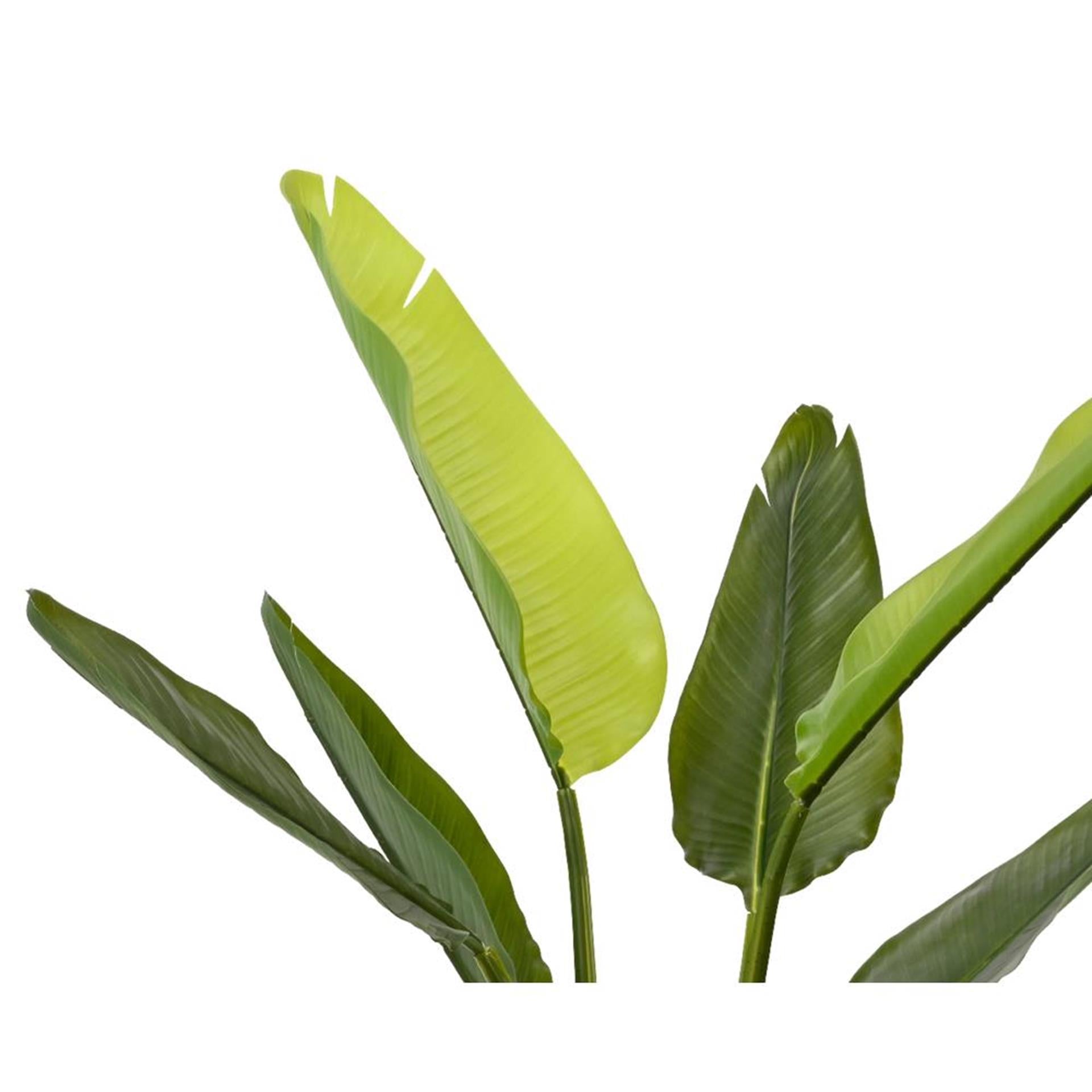 Decoris kunstplant strelitzia h90cm