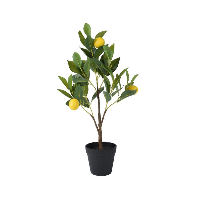 Decoris kunstplant citroen boom h60cm