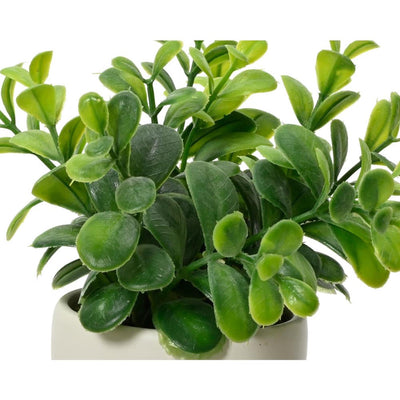 Decoris kunstplant in pot lichaam h16cm