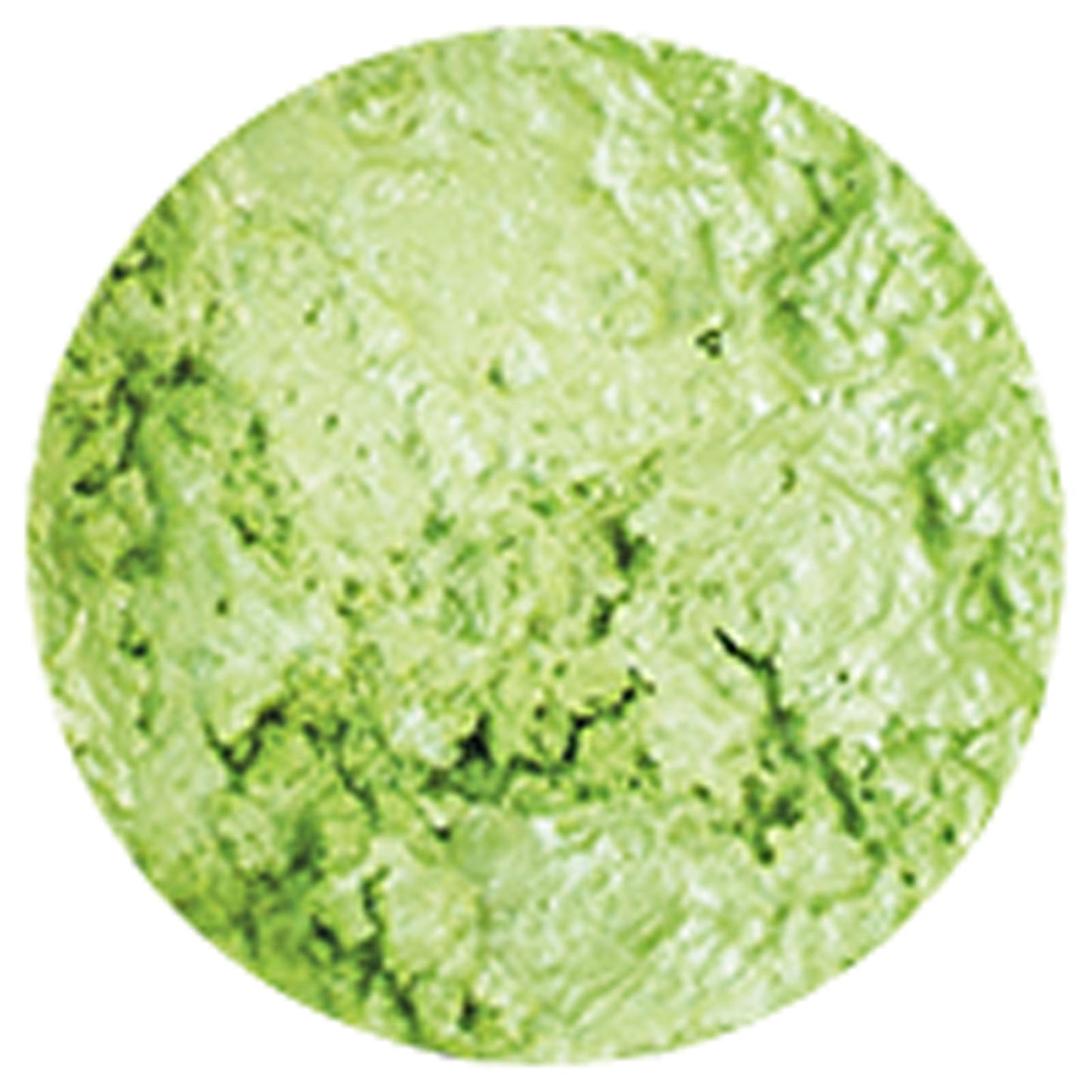Nuvo by tonic studios nuvo • embellishment mousse spring green