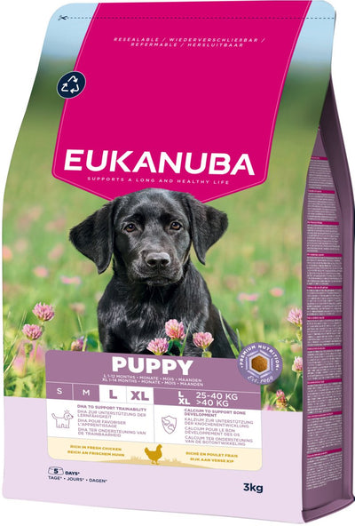 Eukanuba puppy large breed kip - hondenbrokken - 3 kg