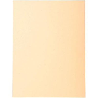 Sorteermap exacompta 420002e 170 g m zalm a4
