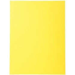 Sorteermap exacompta 420002e 170 g m geel a4