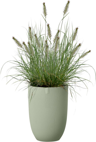 Elho sereh hoog 30 - bloempot voor binnen buiten - 100% gerecycled plastic - ø 29.5 x h 40.5 cm - scandinavisch groen