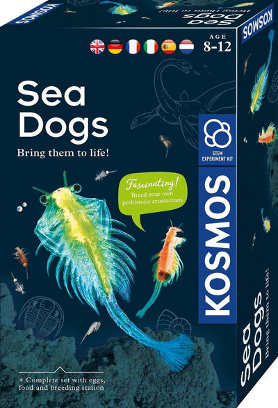 Kosmos sea dogs – experimenteerset – kweek je eigen pekelkreeftjes – inclusief eitjes, zout en vergrootglas – zoutwaterwezentjes ontdekken