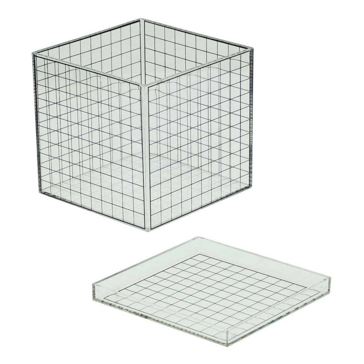 Albatros hengelsport transparante 3d rasterkubus - 10x10x10 cm
