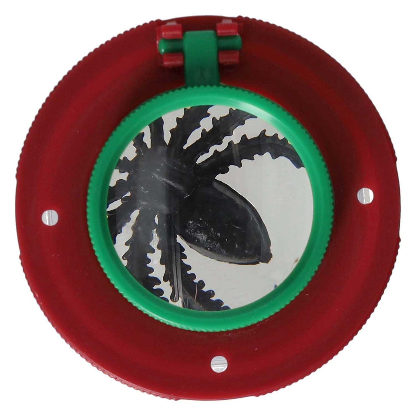Insectenpotje met vergrootglas