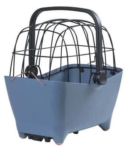 Basil mand buddy mik