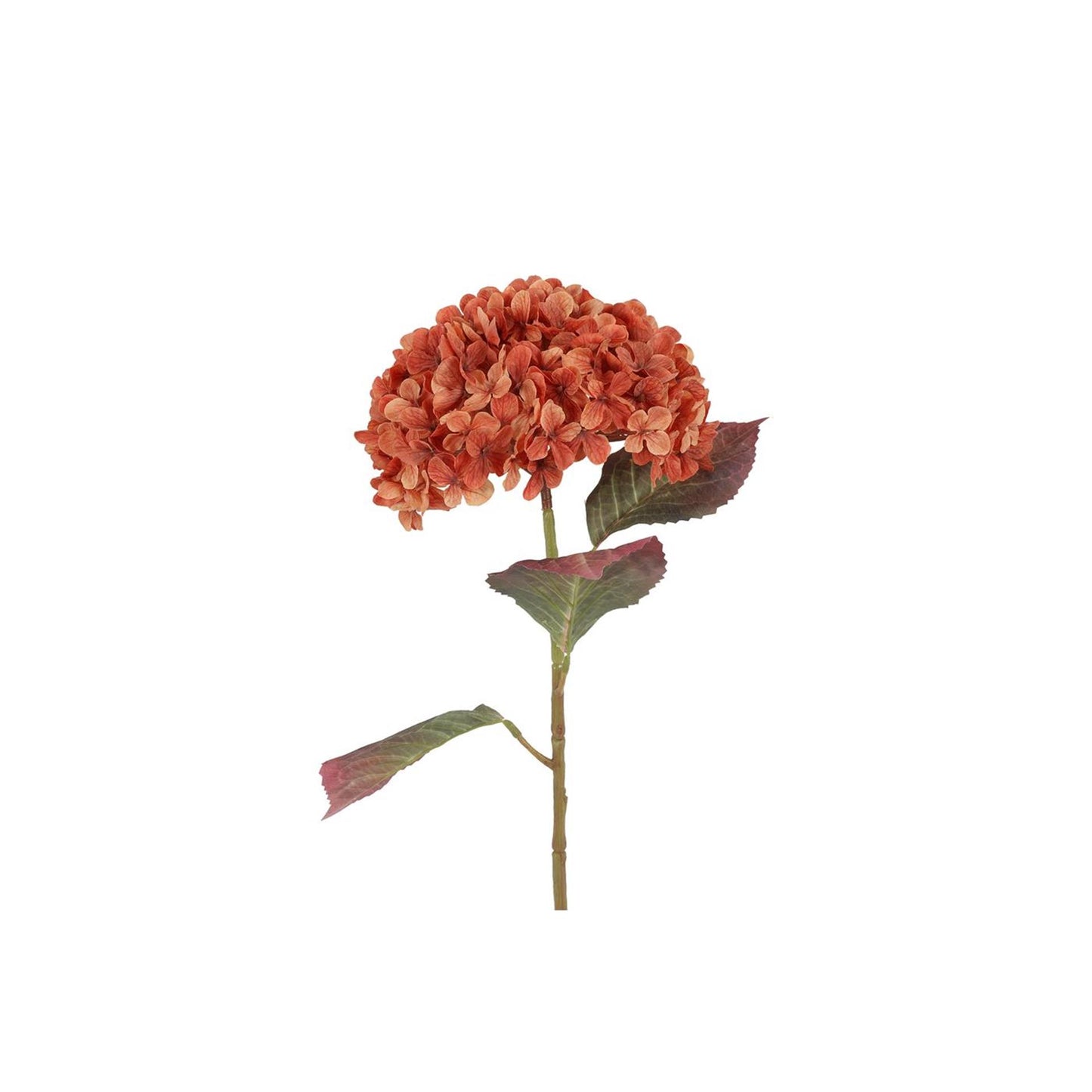 Countryfield kunstbloem aletta hydrangea l oranje 22x22x70cm