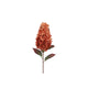 Countryfield kunstbloem aletta paniculata hydrangea oranje 14x23x83cm