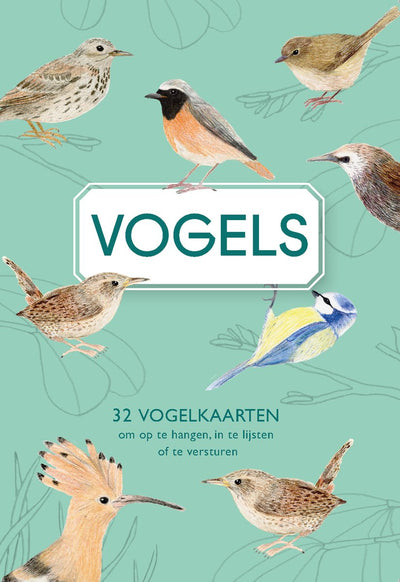 Uitgeverij snor vogels