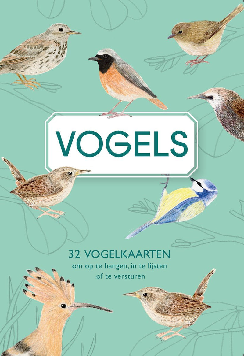 Uitgeverij snor vogels