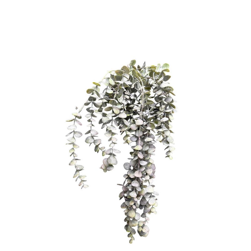 Roberts collection kunst hangplant eucalyptus bordeaux 95cm