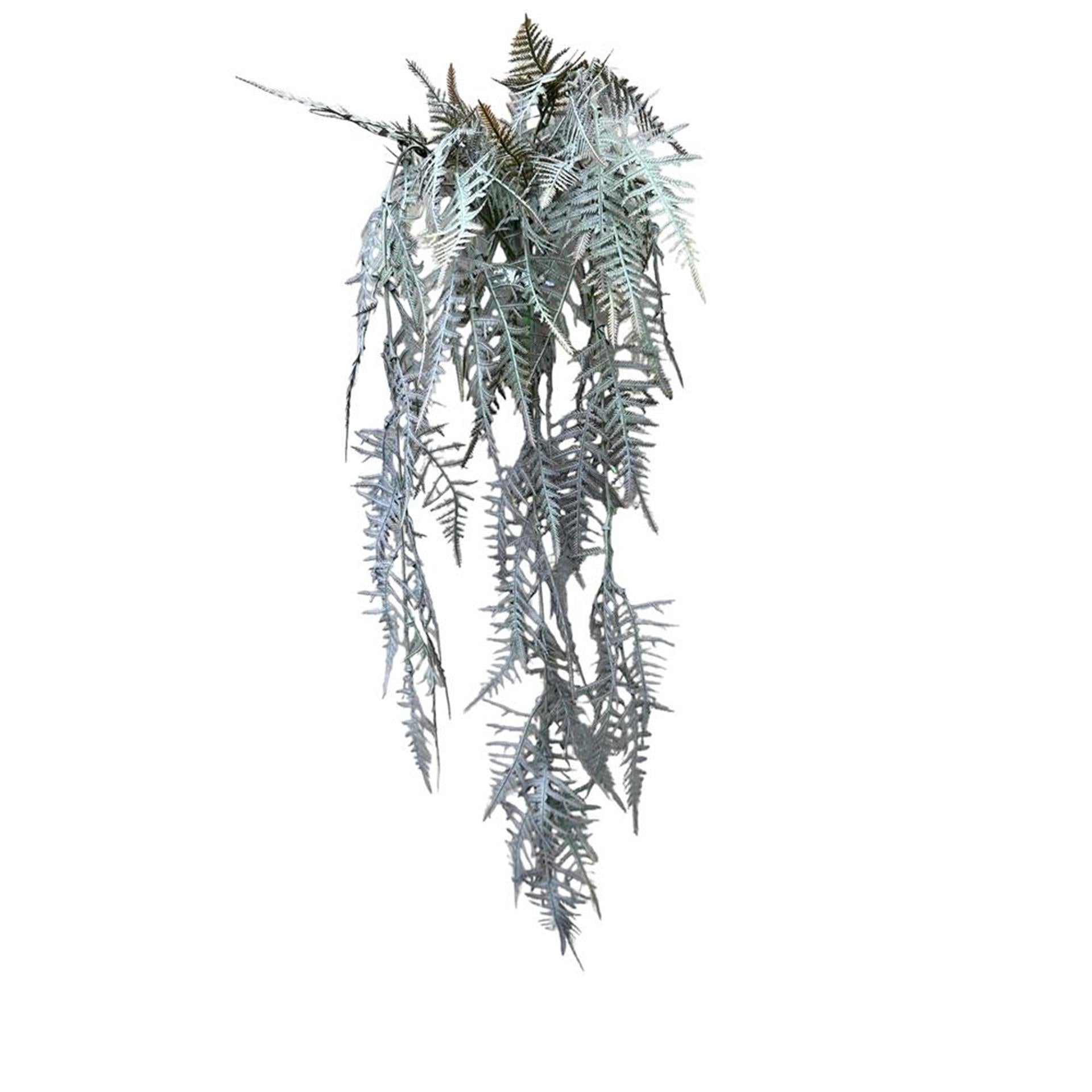 Roberts collection kunst hangplant asperges plumosus poeder-bruin 70cm