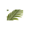 Countryfield kunstplant kentia m groen l70b70h100cm