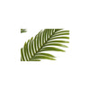 Countryfield kunstplant kentia m groen dia.70xh100cm