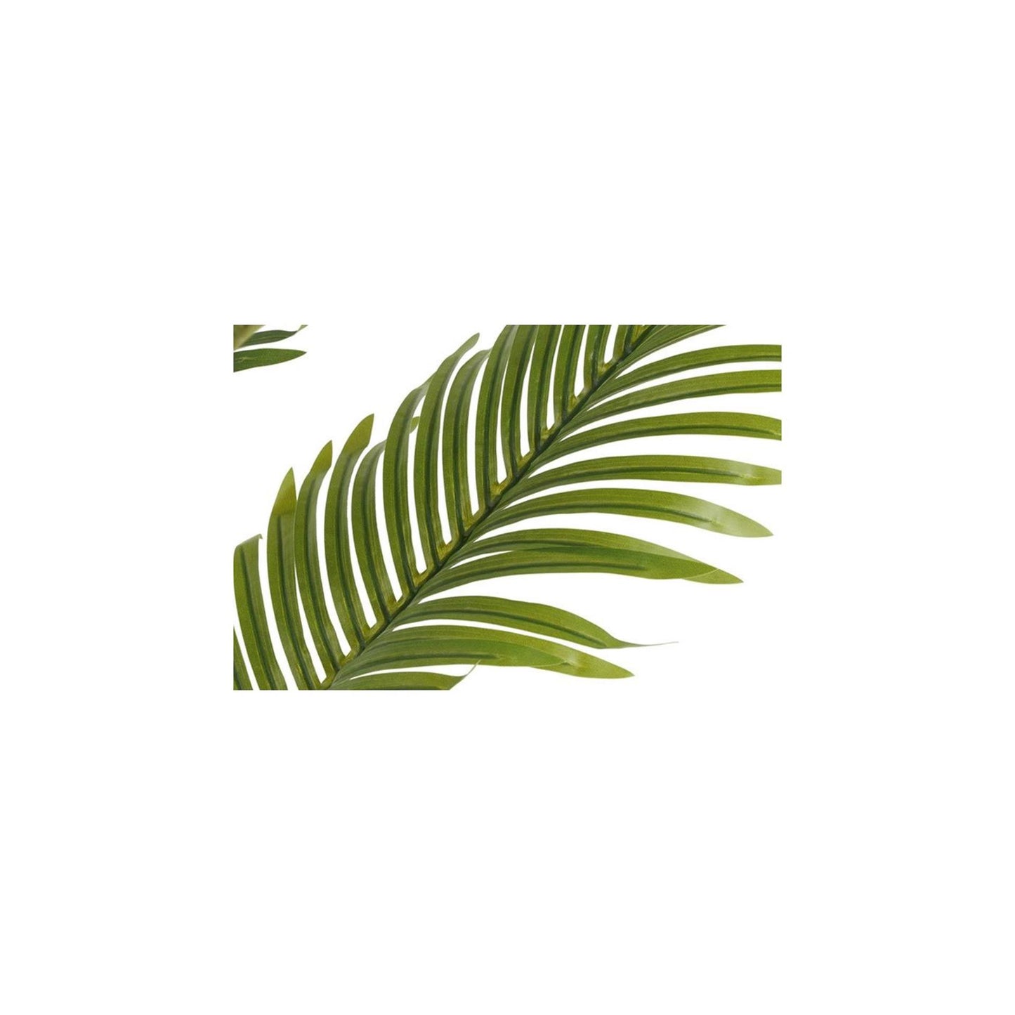 Countryfield kunstplant kentia m groen dia.70xh100cm