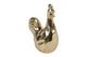 Countryfield haan foppe m goud 17x11x25cm
