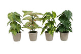 Countryfield kunstplant groen 4 assorti 18x18x30cm - afbeelding 1