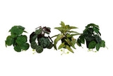 Countryfield kunstplant hang s groen 4 assorti 49x28x20cm - afbeelding 1