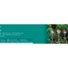 Lumineo solar lamp paddestoel h33.5cm