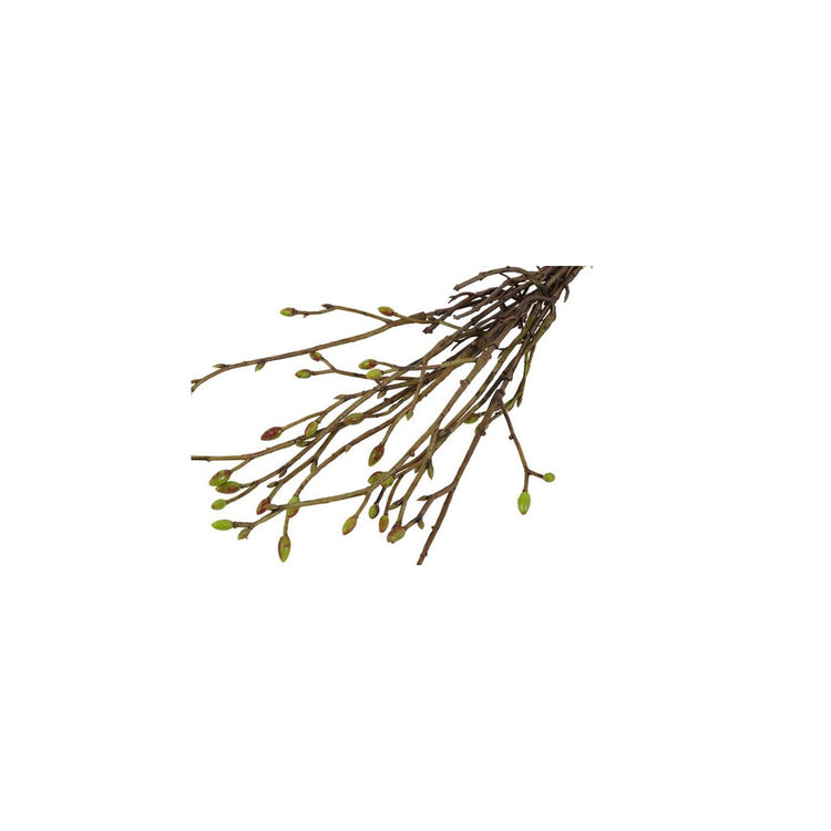 Countryfield kunst bundel tilia 3x groen h42cm