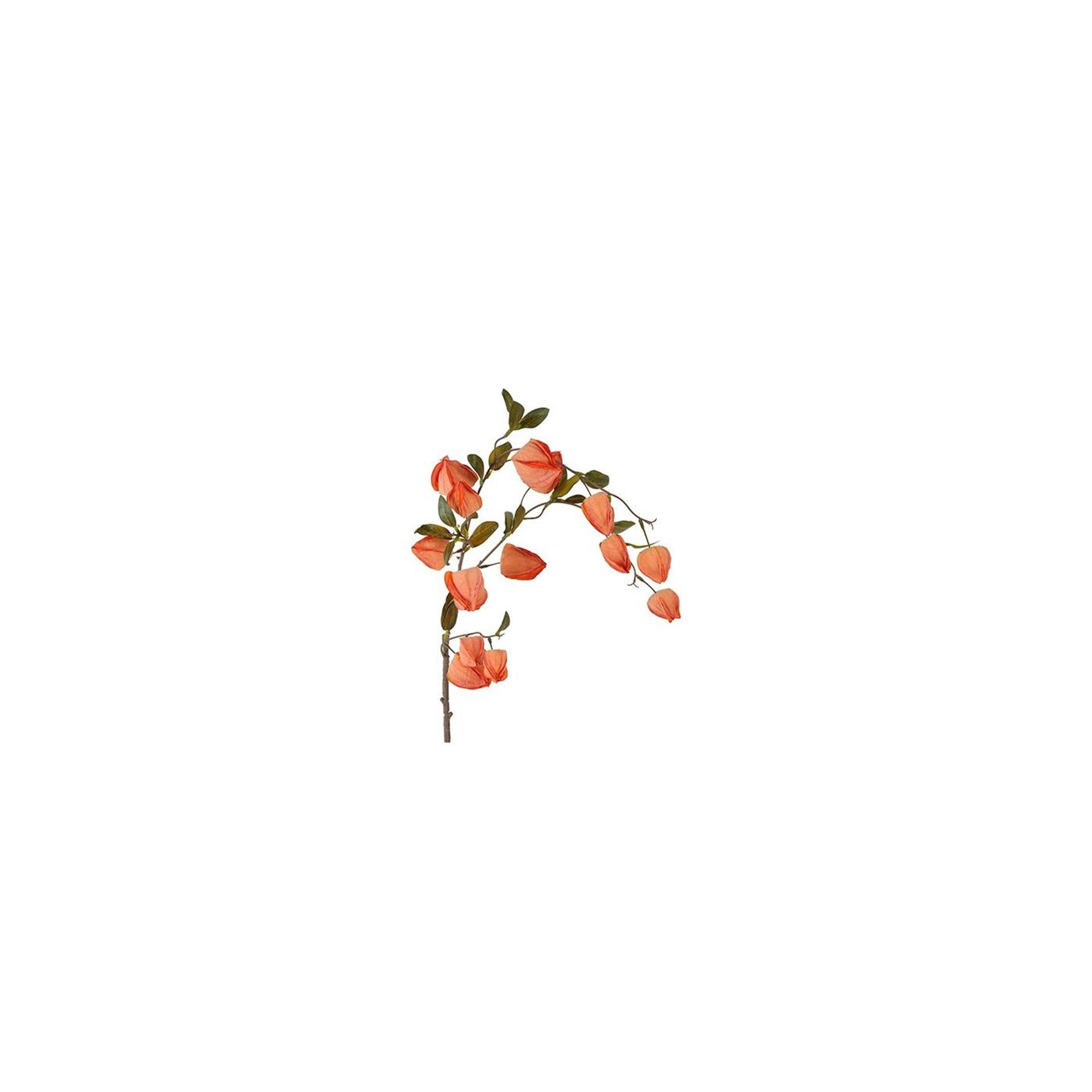 Countryfield kunstbloem physalis miranda brons zijde h94cm