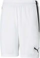 Puma teamliga shorts heren sportbroek - white- black