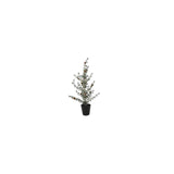 Countryfield kerstboom led cedrus groen kunststof 11x10x61cm 15led 3xaaa - afbeelding 1