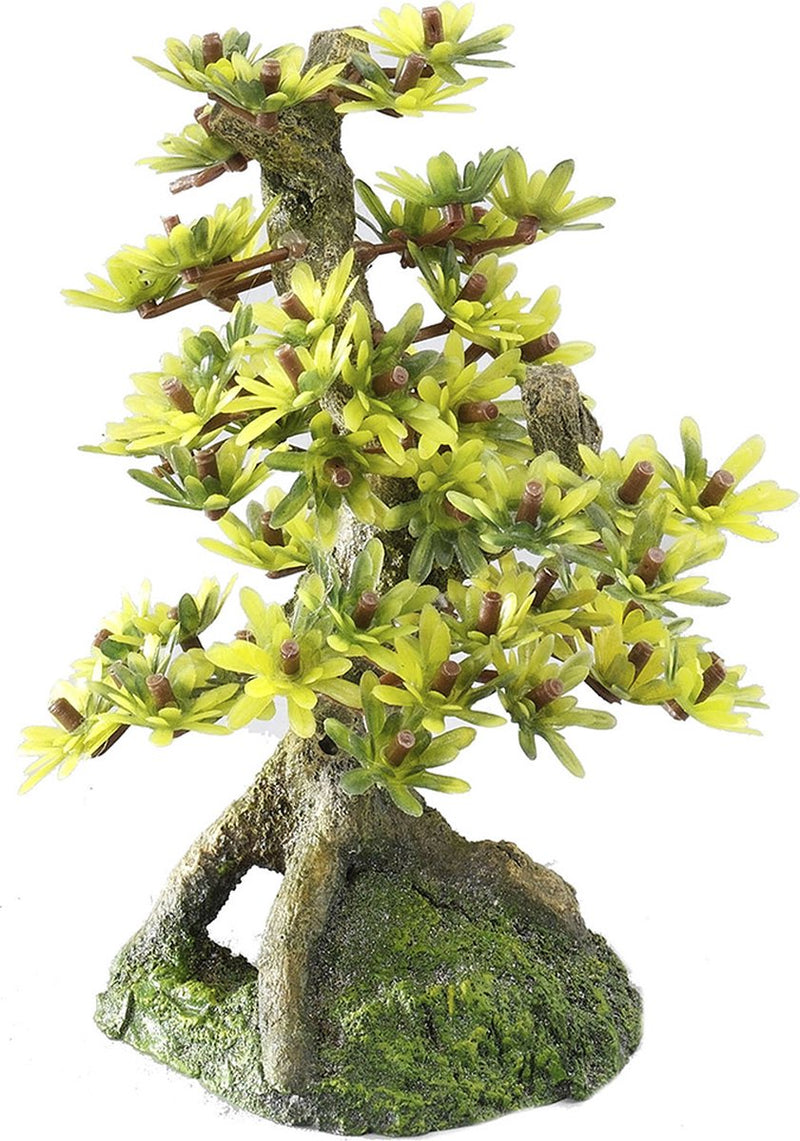 Aqua della europet bernina decor bonsai 2 - aquarium - ornament - 15 cm