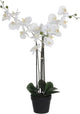 Mica decorations orchidee bloem kunstplant - wit - h75 x b50 cm