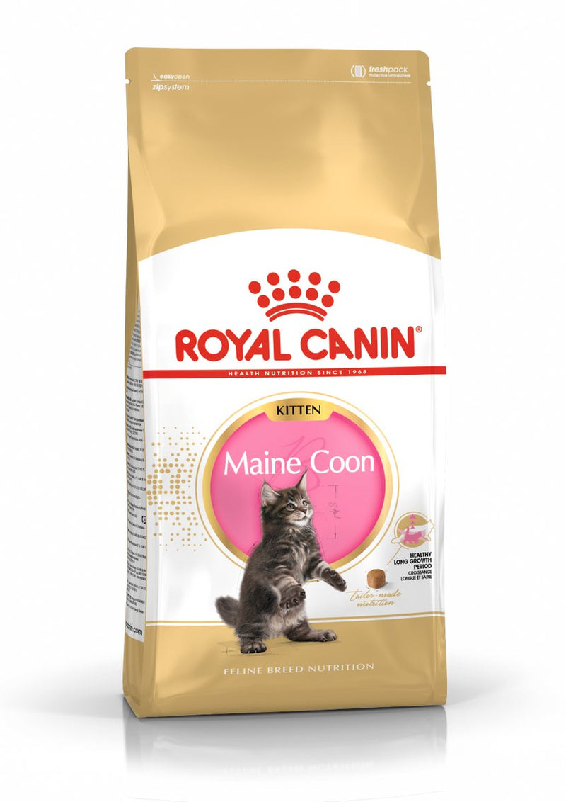 Royal canin maine coon kitten - kattenvoer - 2kg
