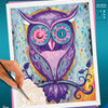 Ravensburger schilderen op nummer ravensburger creart schilderen op nummer - dreaming owl