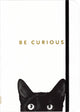 Peter pauper compacte notitieboek - curious cat - met elastieksluiting - 13x18 cm