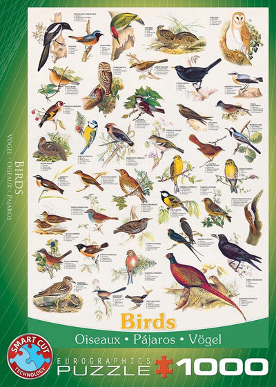 Eurographics - vogels [birds] - 1000 stukjes 48×68cm (b×h) - legpuzzel