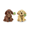 Pluche labrador retriever 2 types 20cm e