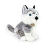 Rappa eco friendly serie - plushen husky knuffel - 30 cm - met gerecycled pet