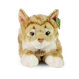 Pluche rood gestreepte kat 40 cm eco-fri | 2 stuks - afbeelding 2